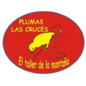 Saco Dhaula Duvet Pato 90-10 - DWR - Plumas las Cruces